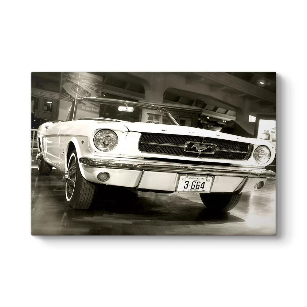 1967 Model Ford Mustang Tablosu - Model 1
